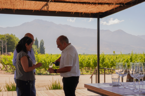 Visita guiada a viña emblemática del Valle del Maipo