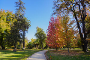 Otoño en Parque Centenario de Majadas