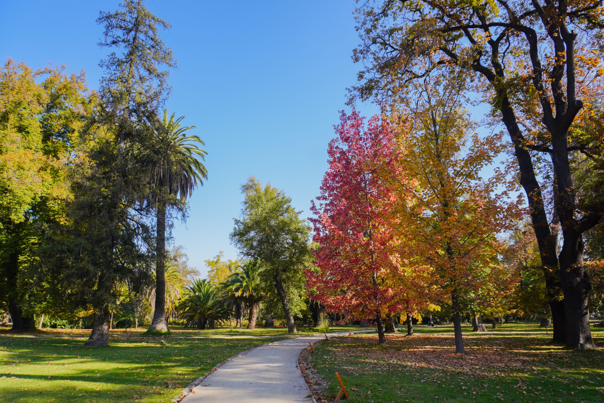 Otoño en Parque Centenario de Majadas