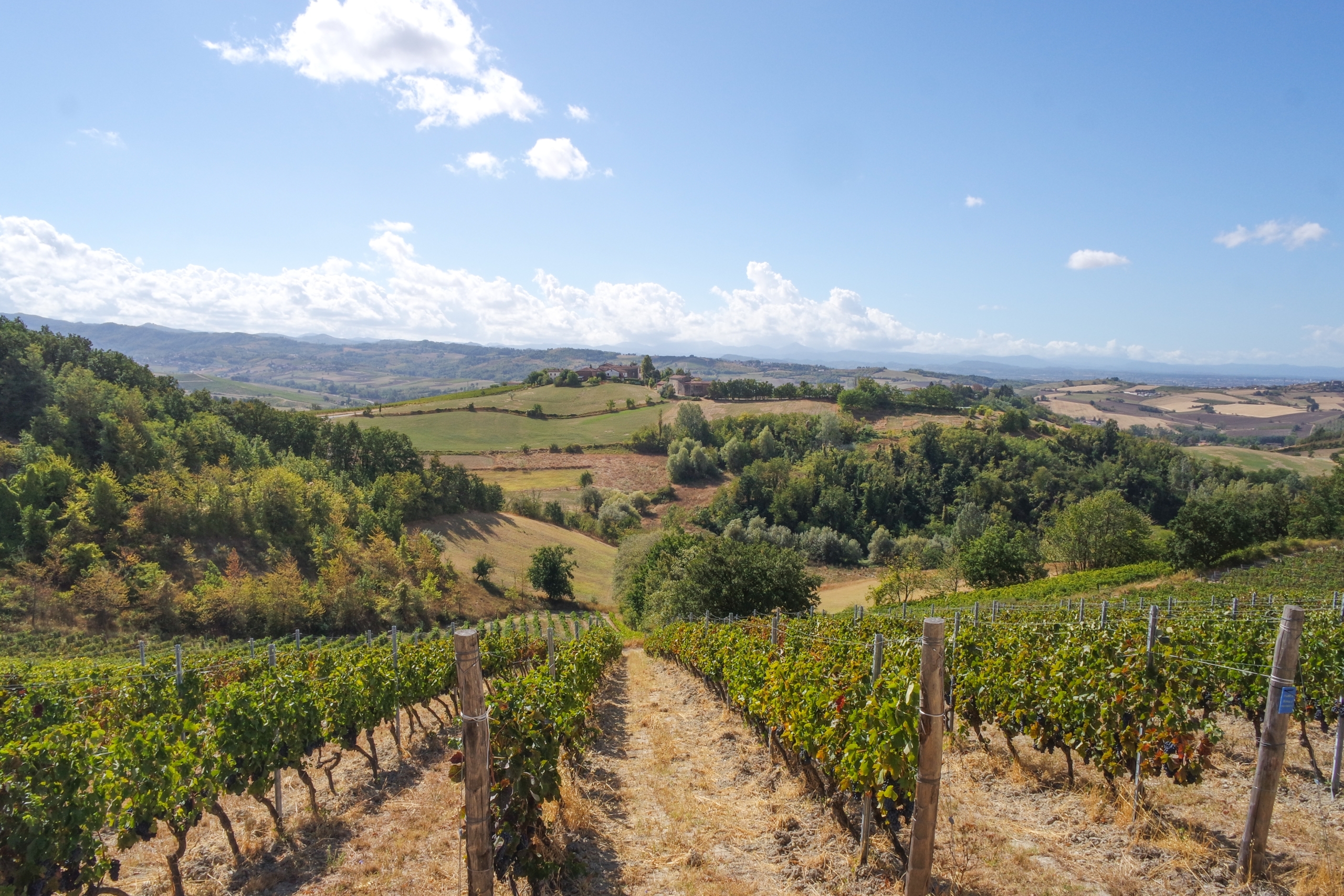 El Valle del Maipo se ha convertido en un destino vinícola.